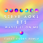 Waste It On Me (Featuring Bts) (Cheat Codes Remix) (Cd Single) Steve Aoki
