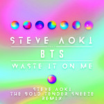 Waste It On Me (Featuring Bts) (Steve Aoki The Bold Tender Sneeze Remix) (Cd Single) Steve Aoki