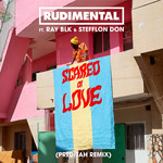 Scared Of Love (Featuring Ray Blk & Stefflon Don) (Preditah Remix) (Cd Single) Rudimental