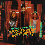 This Is How We Party (Featuring Icona Pop) (Cd Single) R3hab