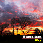 Neapolitan Sky (Cd Single) The Avett Brothers
