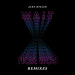 Wait For You (The Remixes) (Cd Single) Jake Miller