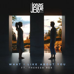 What I Like About You (Featuring Theresa Rex) (Cd Single) Jonas Blue