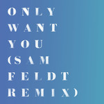 Only Want You (Sam Feldt Remix) (Cd Single) Rita Ora