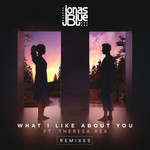 What I Like About You (Featuring Theresa Rex) (Remixes) (Ep) Jonas Blue