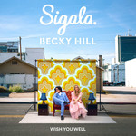 Wish You Well (Featuring Becky Hill) (Cd Single) Sigala