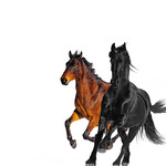 Old Town Road (Featuring Billy Ray Cyrus) (Remix) (Cd Single) Lil Nas X