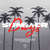 Disco Summer Days (Featuring Macklemore & Patrick Stump) (Haywyre Remix) (Cd Single) de Martin Garrix