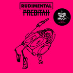 Mean That Much (Featuring Preditah & Morgan) (Cd Single) Rudimental