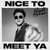 Disco Nice To Meet Ya (Cd Single) de Niall Horan