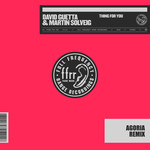 Thing For You (Featuring Martin Solveig) (Agoria Remix) (Cd Single) David Guetta