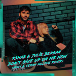 Don't Give Up On Me Now (Featuring Julie Bergan) (Moti & Terry Mclove Remix) (Cd Single) R3hab