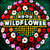 Caratula frontal de Wildflower (Cd Single) 5 Seconds Of Summer