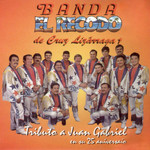 Tributo A Juan Gabriel Banda El Recodo