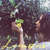 Caratula frontal de Lemons (Cd Single) Ashley Tisdale