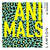 Disco Animals (Cd Single) de Lawson