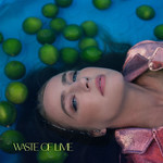 Waste Of Lime (Cd Single) Ingrid Andress