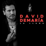La Llama (Cd Single) David Demaria