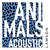 Disco Animals (Acoustic) (Cd Single) de Lawson