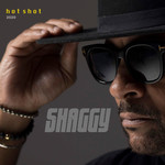 Hot Shot 2020 (Deluxe) Shaggy