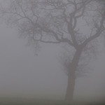 Silver (Ep) Jesu