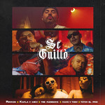 Se Guillo (Featuring Kapla Y Miky, The Rudeboyz, Rayo & Toby, Totoy El Frio) (Cd Single) Reykon