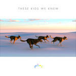 These Kids We Knew (Cd Single) Rostam