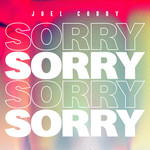 Sorry (Cd Single) Joel Corry