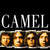 Cartula frontal Camel Master Series