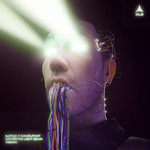 Distorted Light Beam (Camelphat Remix) (Cd Single) Bastille