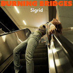 Burning Bridges (Cd Single) Sigrid