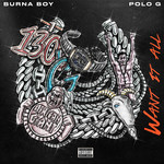 Want It All (Featuring Polo G) (Cd Single) Burna Boy