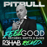 I Feel Good (Featuring Anthony Watts & Djws) (R3hab Remix) (Cd Single) Pitbull