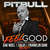 Disco I Feel Good (Featuring Anthony Watts & Djws) (Sak Noel, Salvi & Franklin Dam Remix) (Cd Single) de Pitbull