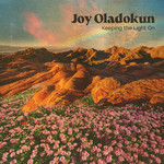 Keeping The Light On (Cd Single) Joy Oladokun
