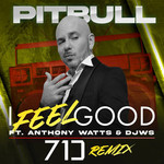 I Feel Good (Featuring Anthony Watts & Djws) (71 Digits Remix) (Cd Single) Pitbull