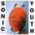 Caratula frontal de Dirty Sonic Youth