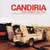 Caratula Frontal de Candiria - What Doesn't Kill You...