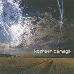 Damage Kosheen