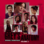  Bso Anatomia De Grey Volumen 2 (Grey's Anatomy Volume 2)