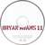 Cartula cd Bryan Adams 11 (Special Edition)
