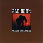 Amusing The Amazing Slo Burn