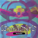 Reverberation Echo & The Bunnymen