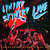 Caratula frontal de Southern By The Grace Of God: Tribute Tour 1987 Lynyrd Skynyrd