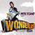 Caratula frontal de  Ministry Of Sound Pete Tong Presents Wonderland 2009