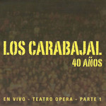 40 Aos En Vivo - Teatro Opera Parte 1 Los Carabajal