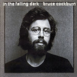 In The Falling Dark Bruce Cockburn