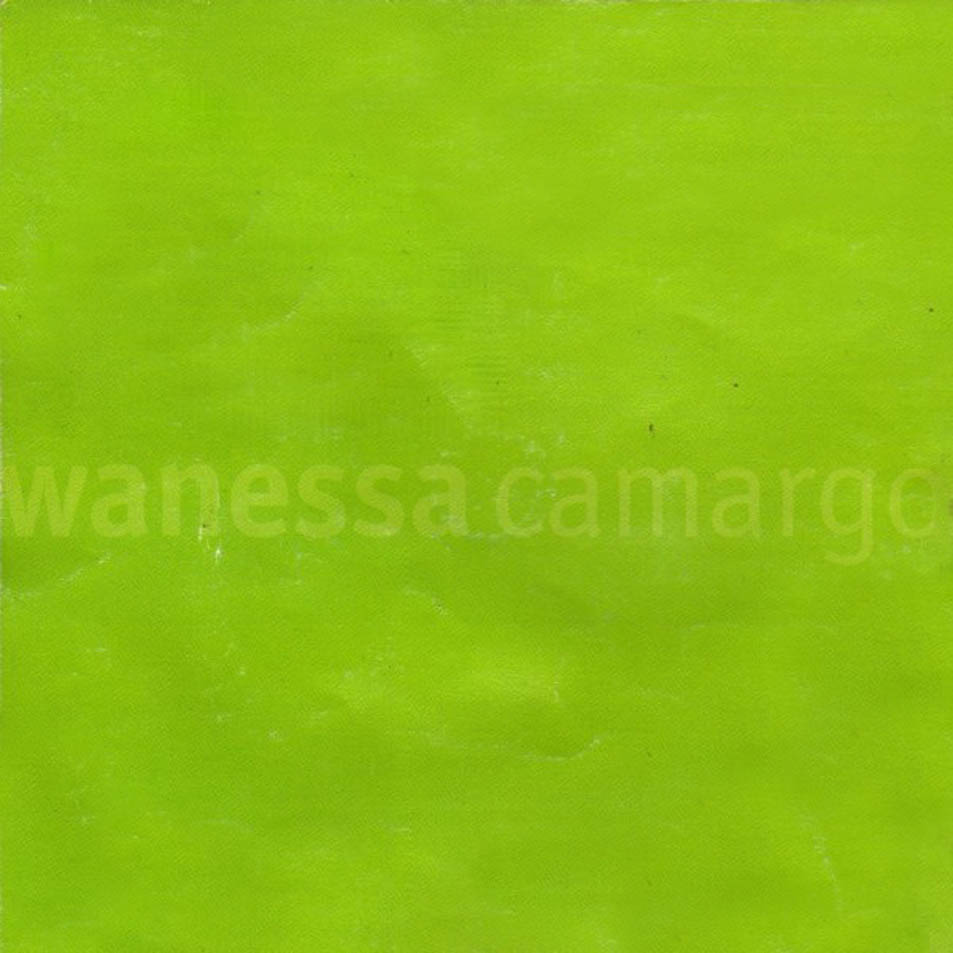 Cartula Interior Frontal de Wanessa Camargo - Wanessa Camargo (2000)