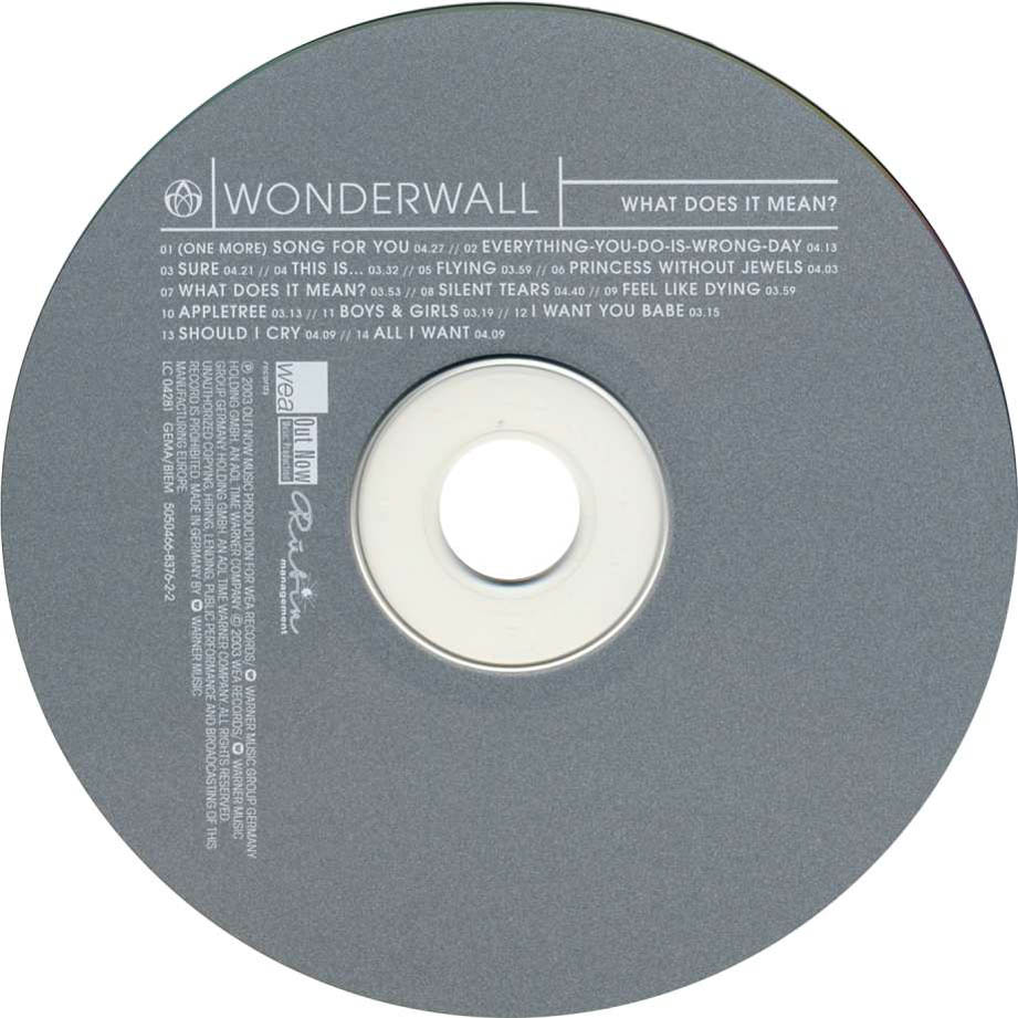Cartula Cd de Wonderwall - What Does It Mean