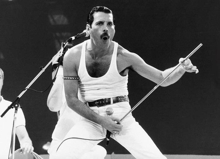 Foto de Freddie Mercury  nmero 52572